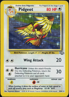 Pidgeot (8) - Jungle (JU)