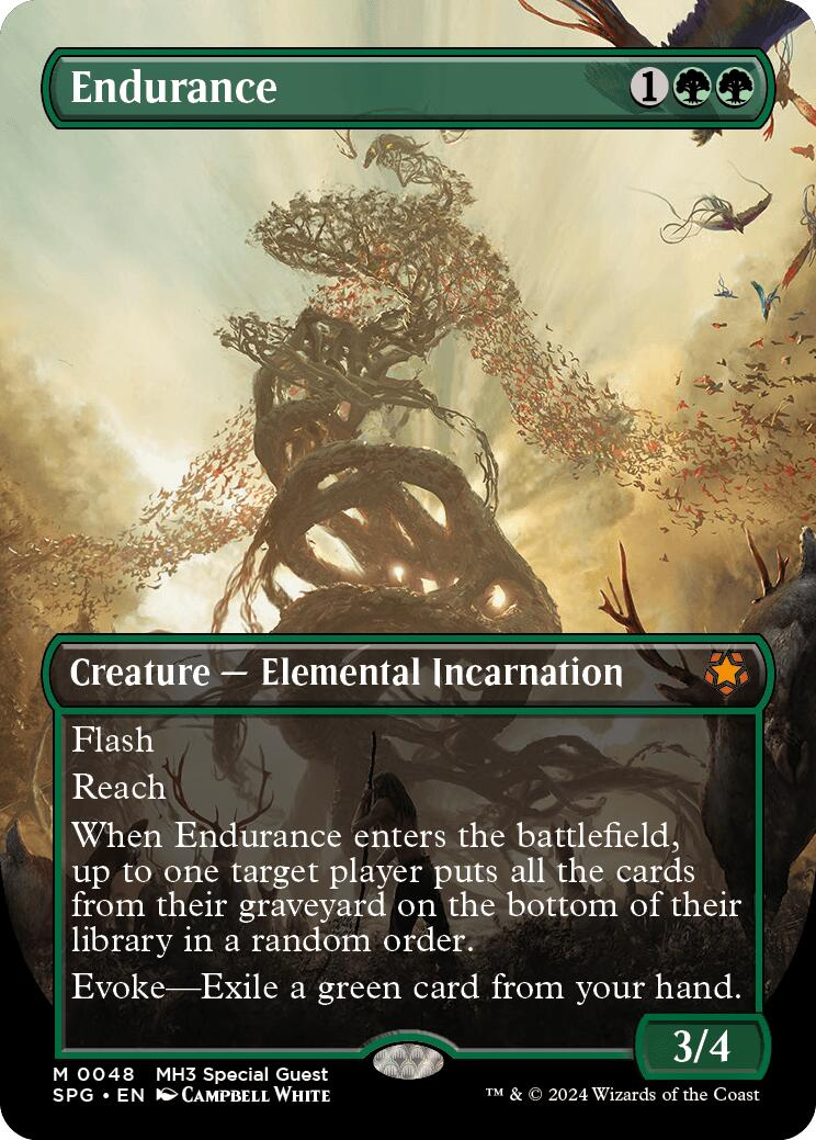 Endurance (Borderless) - Special Guests (SPG)