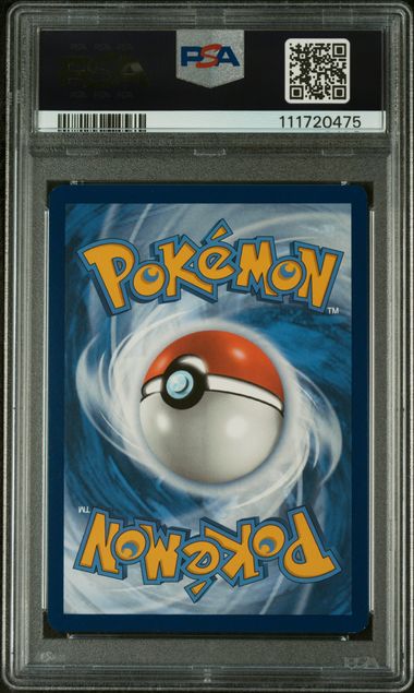Greninja EX 132 - SV: Scarlet & Violet Promo Cards - 2024 Pokemon - PSA 9