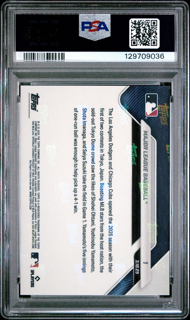 Graded Sports Cards | PSA Football, Baseball & Sports Slabs | Cash Cards Unlimited Graded Sports Cards | PSA Football, Baseball & Sports Slabs | Cash Cards Unlimited
