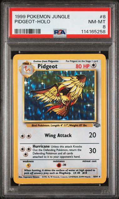 Pidgeot Holo 8/64 Jungle - 1999 Pokemon - PSA 8