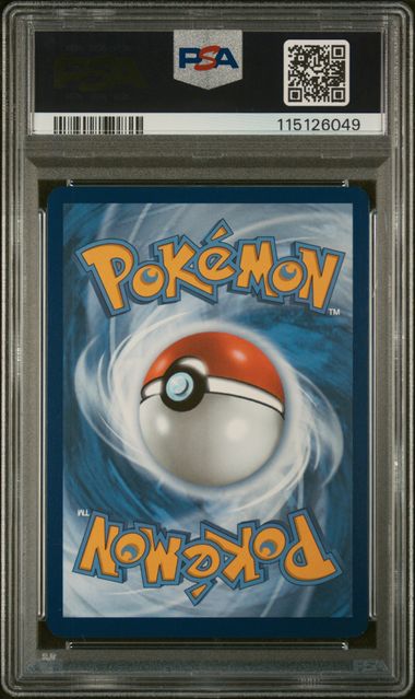 Wailord 162/159 Illustration Rare Journey Together - 2025 Pokemon - PSA 10