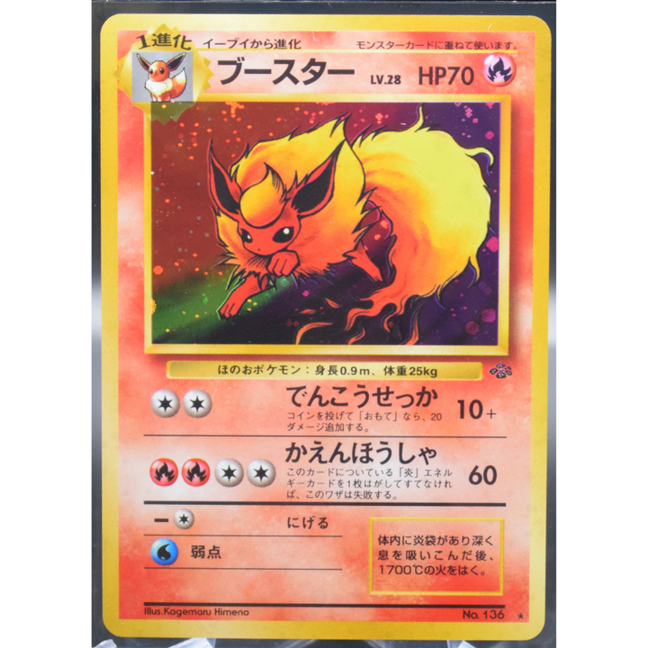 Flareon - Pokemon Jungle Japanese