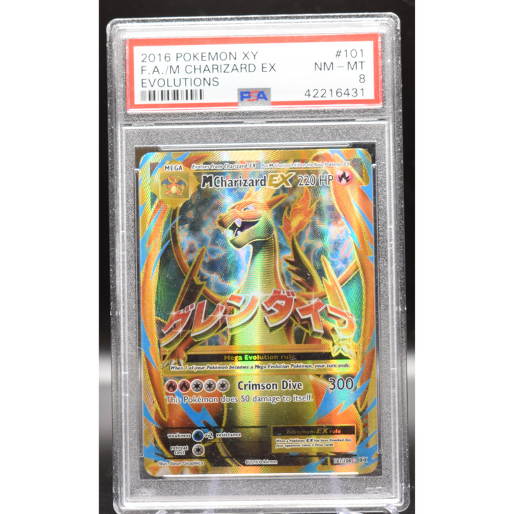 M Charizard EX 101/108 XY Evolutions - 2016 Pokemon - PSA 8